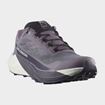 Picture of SALOMON PULSAR W EXCALIBUR/VANILA/9 IRON